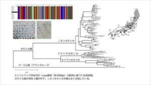 記事サムネイル