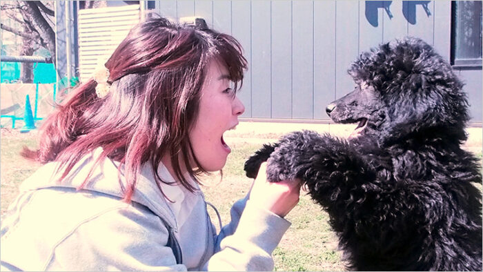 イヌの視線の社会的機能の解明