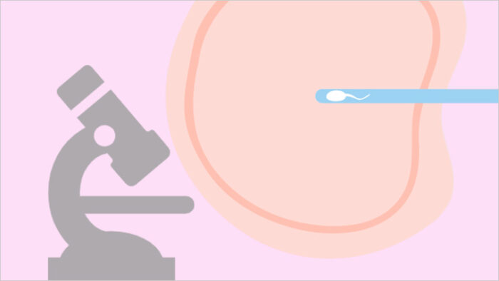 精子は行動・学習に影響を与えるのか？