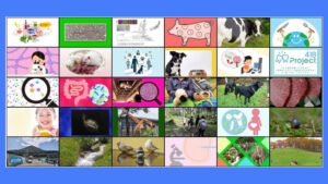 記事サムネイル