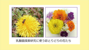 記事サムネイル
