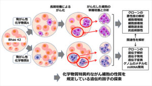 記事サムネイル
