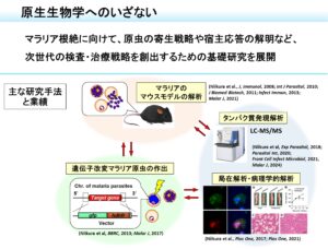 記事サムネイル