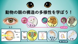 記事サムネイル