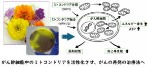 記事サムネイル