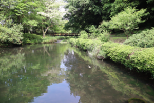 記事サムネイル