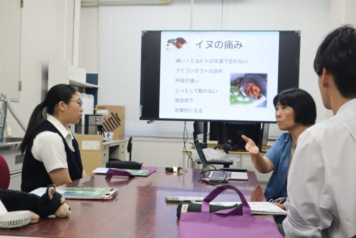桐蔭学園高等学校 研究室シャドウイング 獣医臨床看護学研究室