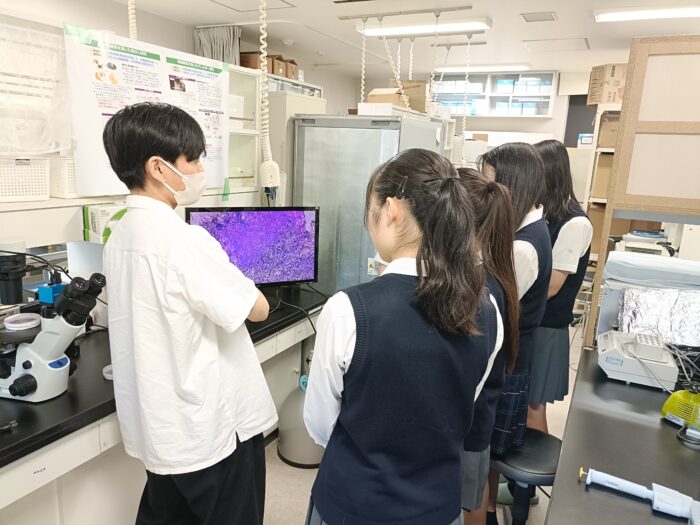 桐蔭学園高等学校 研究室シャドウイング 環境衛生学研究室