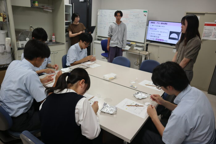 桐蔭学園高等学校 研究室シャドウイング 食品微生物学研究室