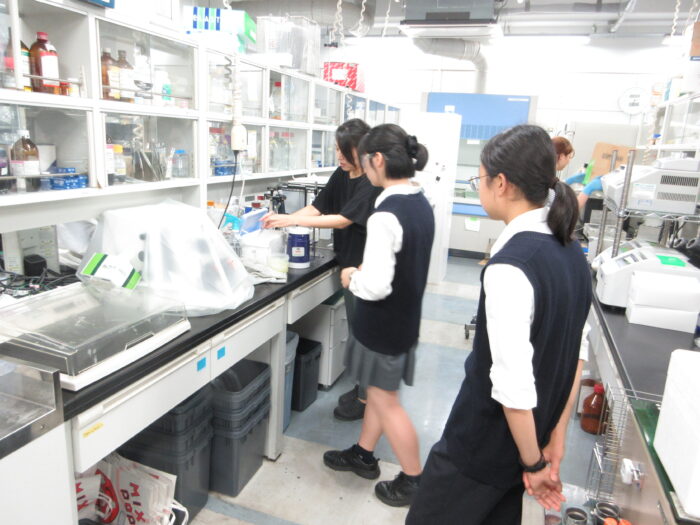 桐蔭学園高等学校 研究室シャドウイング 動物繁殖学研究室