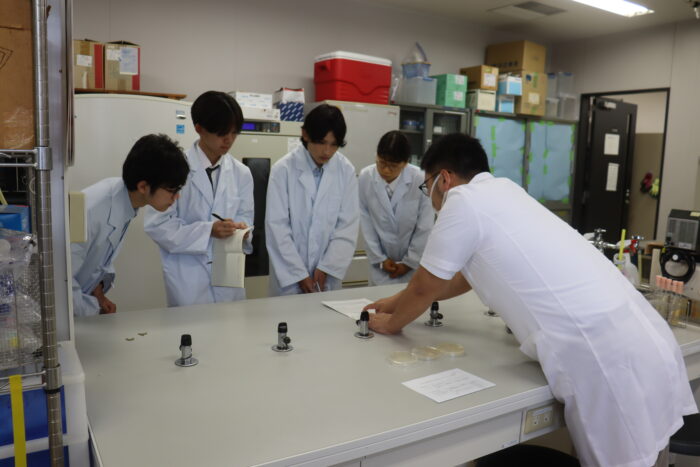 桐蔭学園高等学校 研究室シャドウイング 微生物学研究室