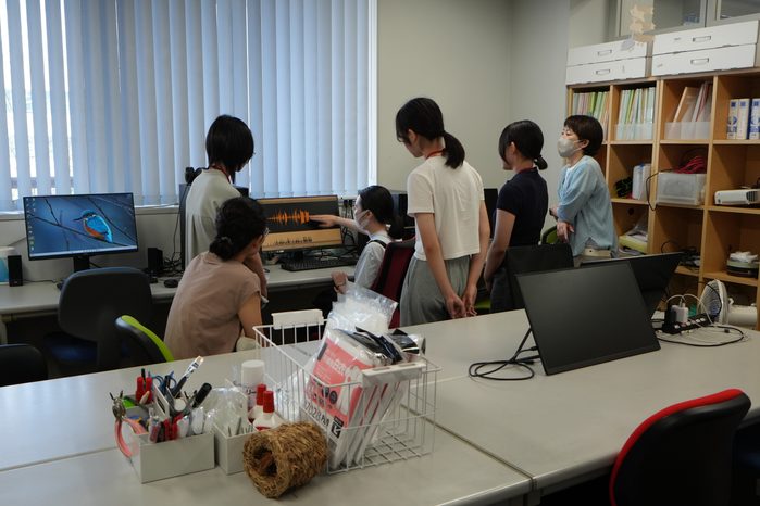 動物の性判別~外見・行動編~