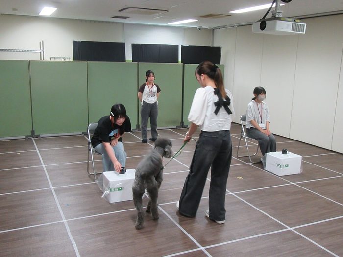 イヌが人の「声かけ」「指差し」「視線」のどの情報を手がかりに行動を選択しているのかを検証