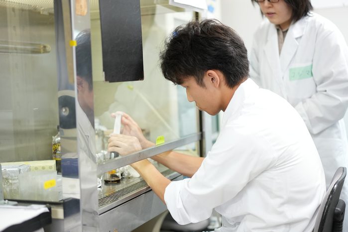 身近な物質が生物へ与える影響について、培養細胞やミジンコを用いて評価しました
