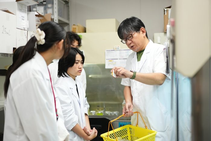 身近な物質が生物へ与える影響について、培養細胞やミジンコを用いて評価しました